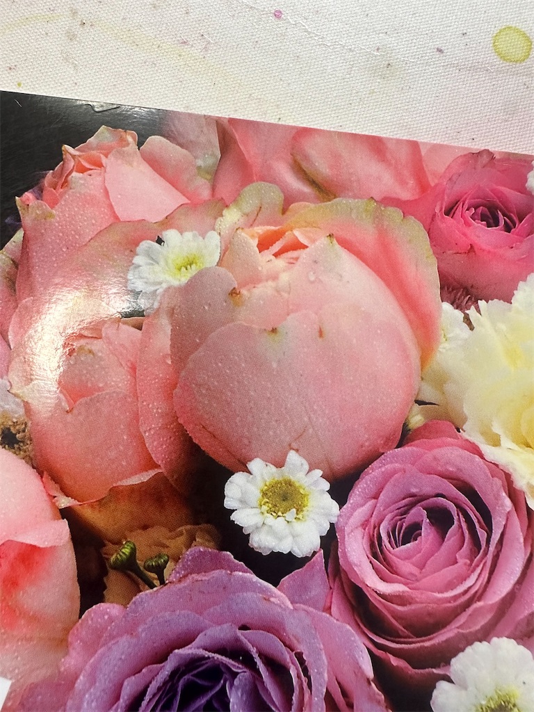 f:id:blossom-art:20240613184404j:image