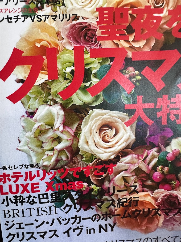 f:id:blossom-art:20240614173009j:image