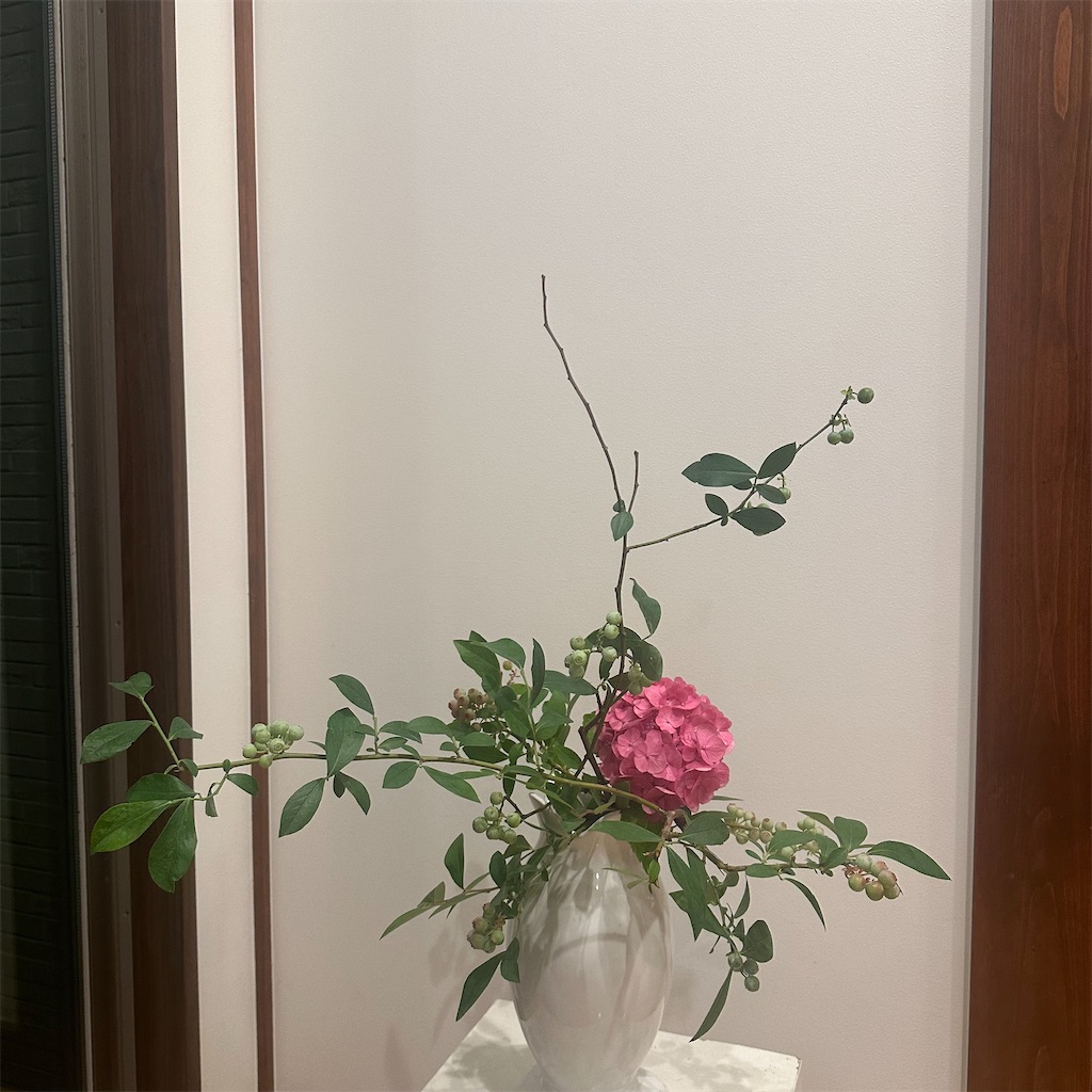 f:id:blossom-art:20240620232643j:image