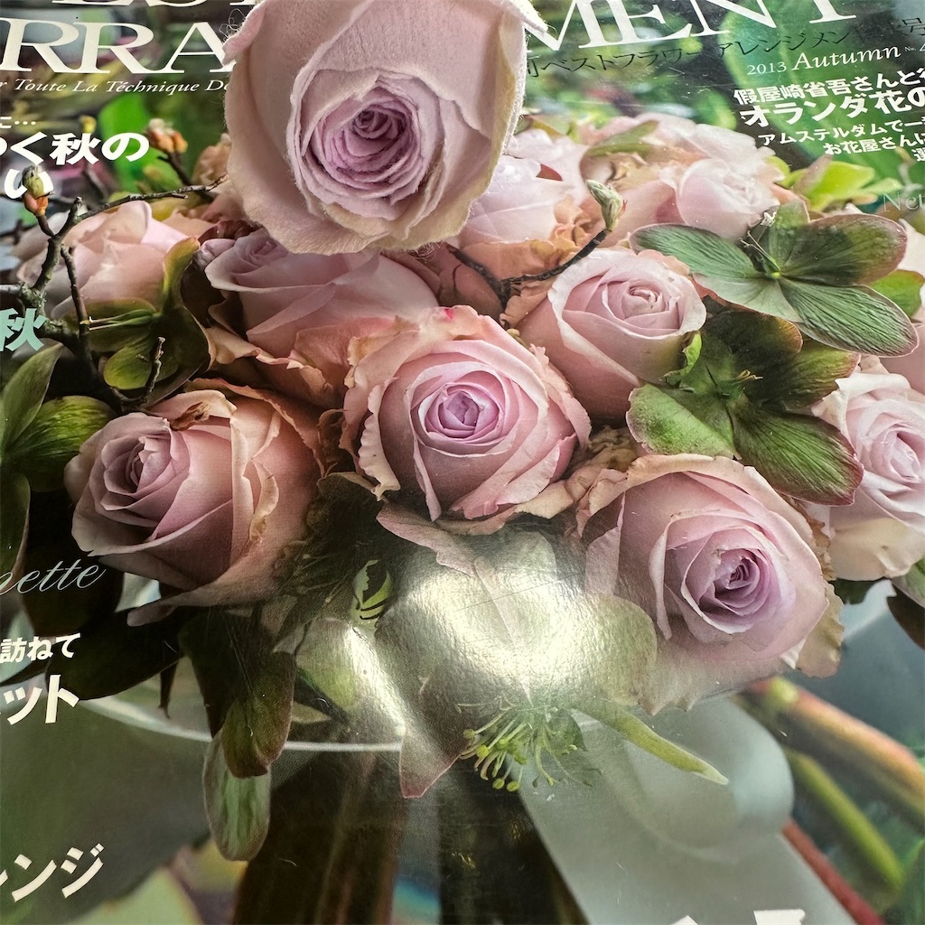 f:id:blossom-art:20240628221200j:image