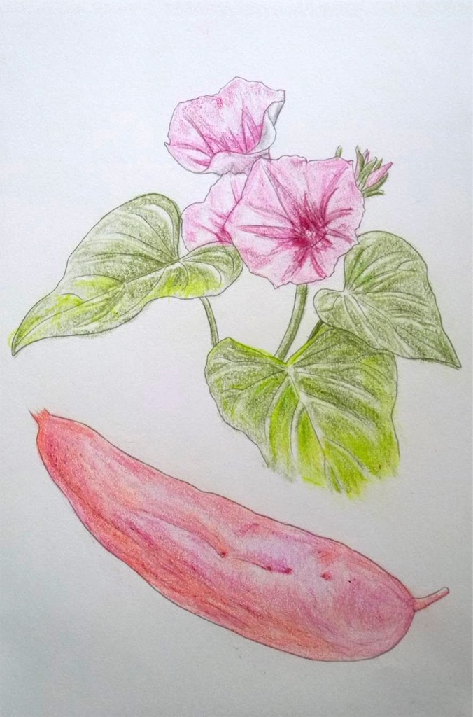 f:id:blossom-art:20240701164053j:image