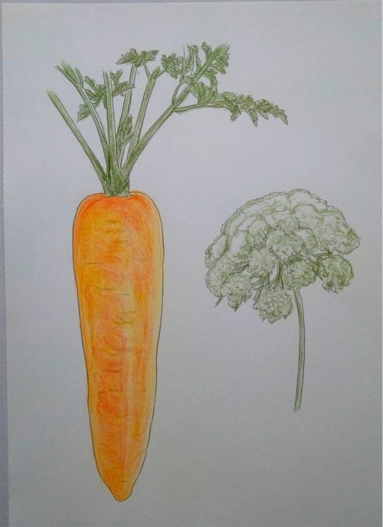 f:id:blossom-art:20240701164157j:image