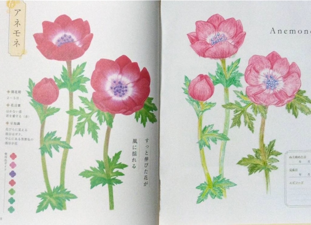 f:id:blossom-art:20240902171429j:image