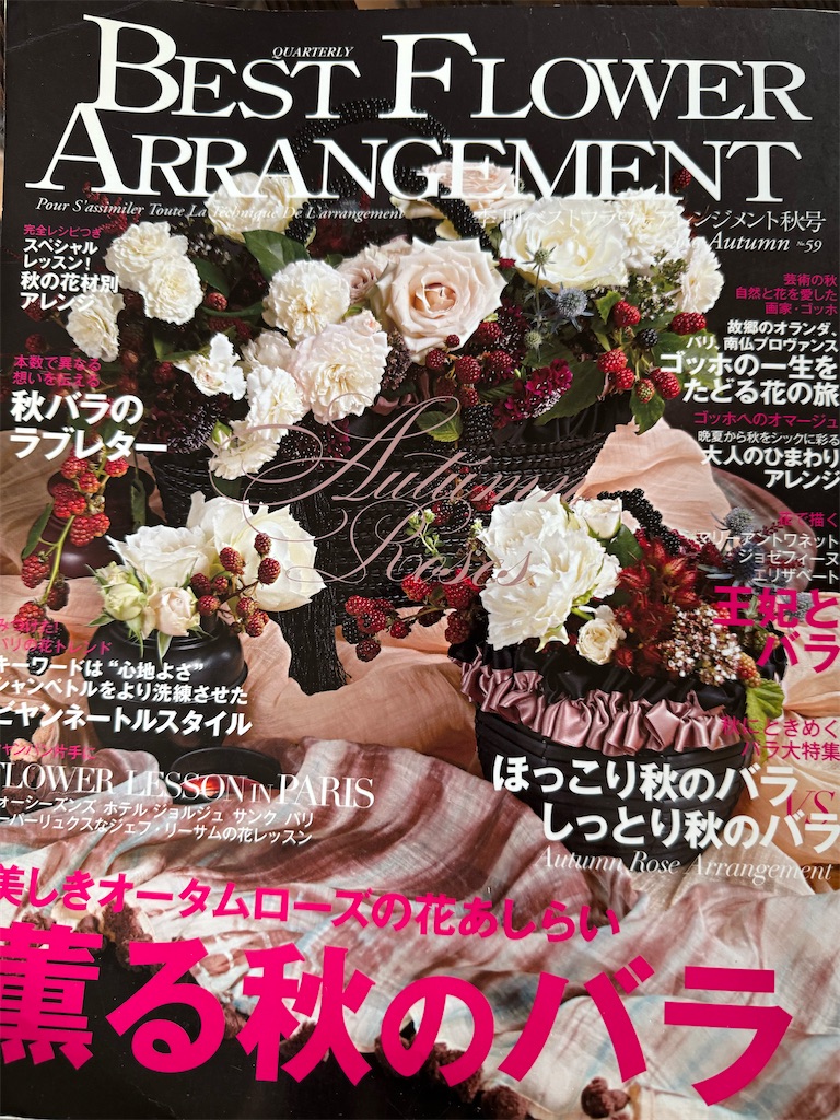 f:id:blossom-art:20241009202849j:image