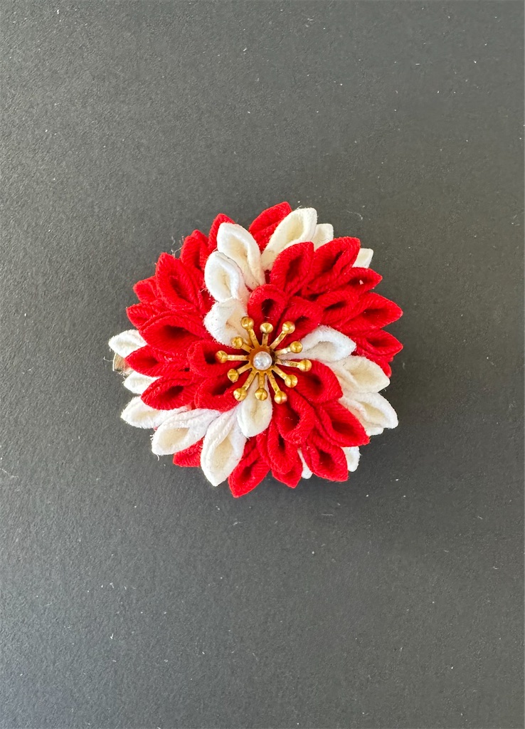 f:id:blossom-art:20241124180412j:image f:id:blossom-art:20241124180412j:image