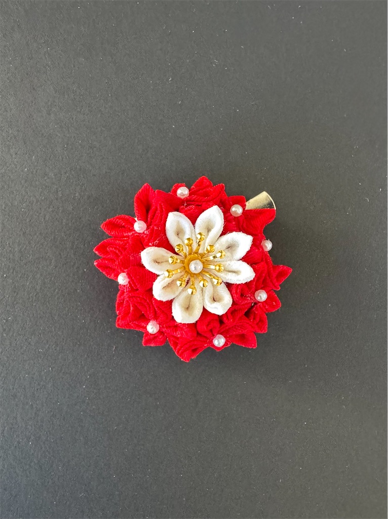 f:id:blossom-art:20241124180422j:image f:id:blossom-art:20241124180422j:image