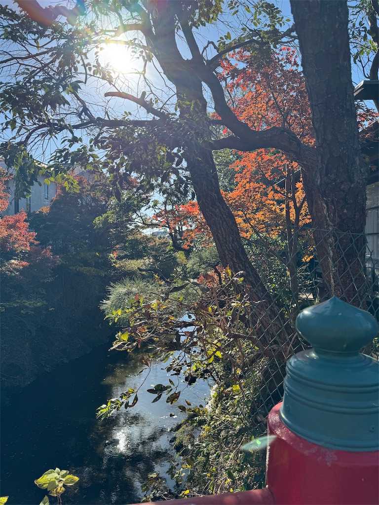 f:id:blossom-art:20241203183311j:image f:id:blossom-art:20241203183311j:image