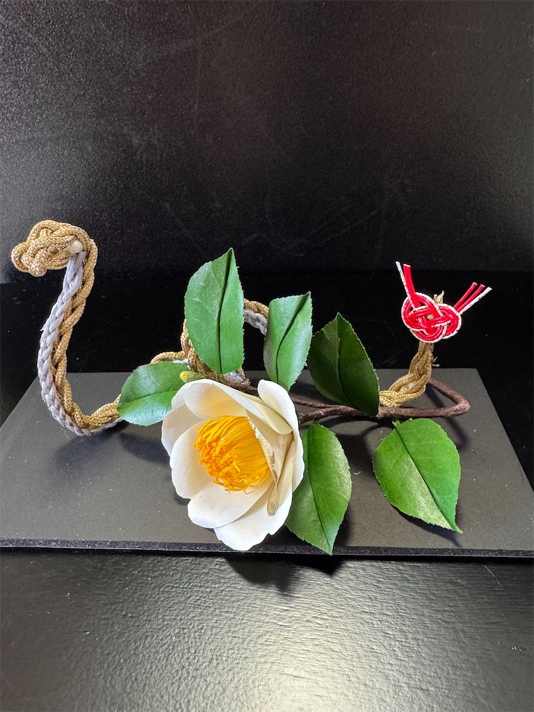 f:id:blossom-art:20241209073629j:image