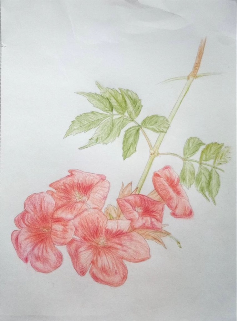 f:id:blossom-art:20241209184345j:image