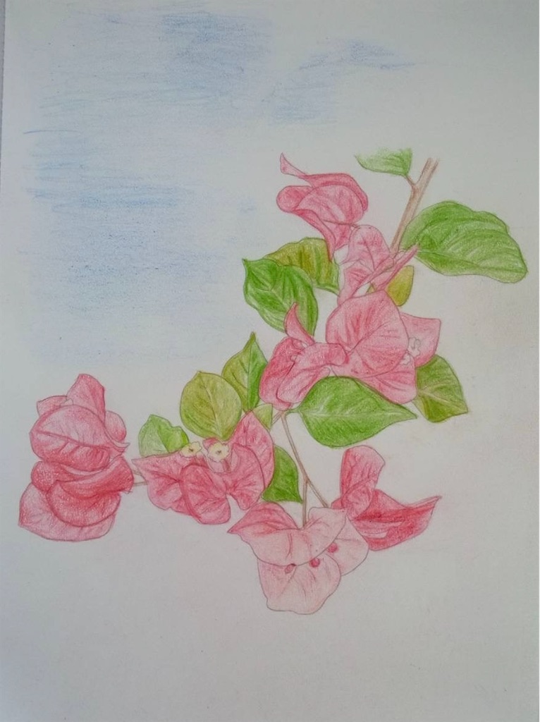 f:id:blossom-art:20250120181350j:image