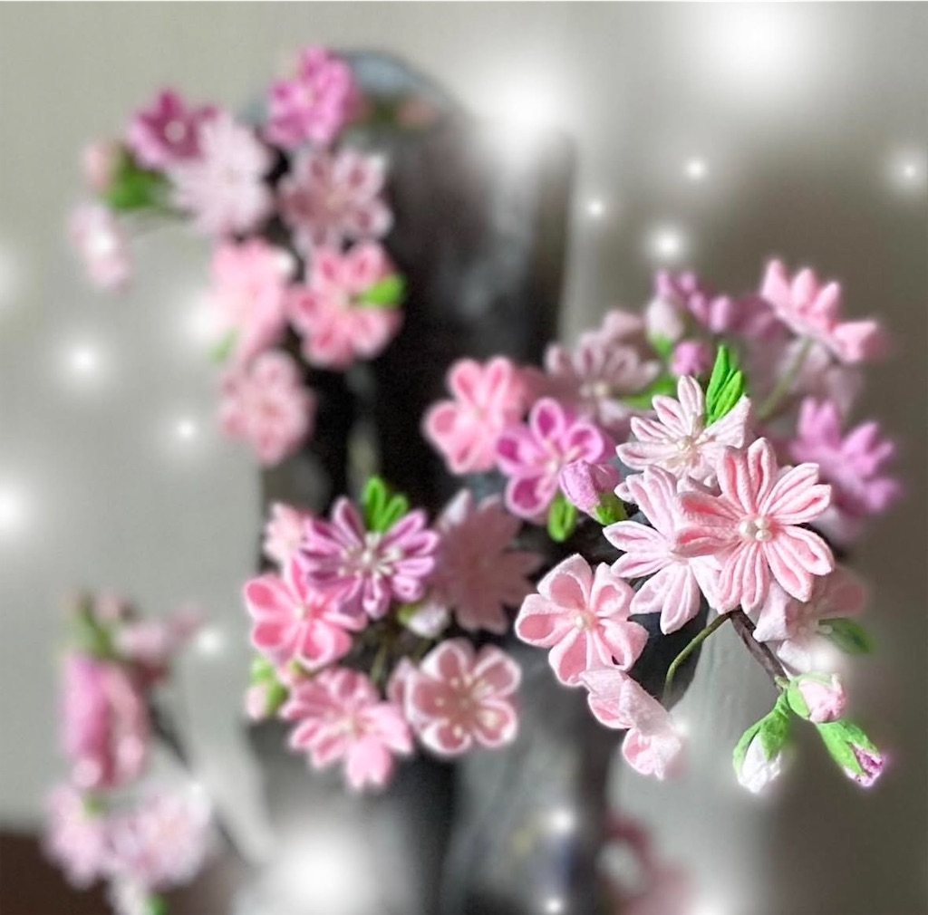 f:id:blossom-art:20250131220940j:image