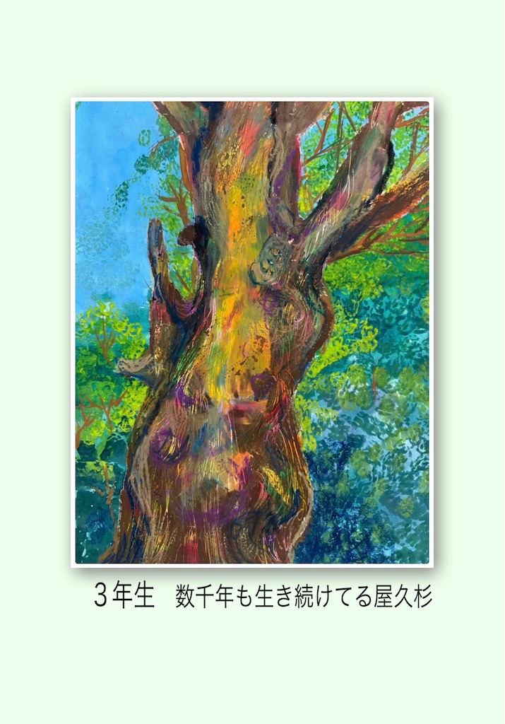 f:id:blossom-art:20250227212854j:image