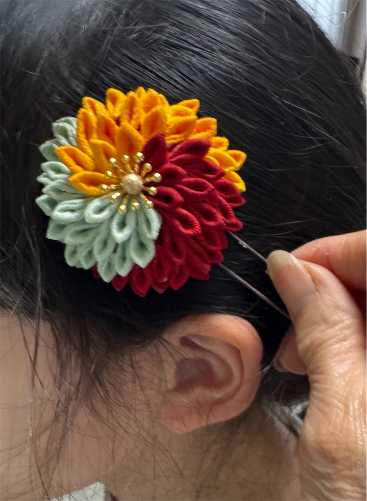 f:id:blossom-art:20250305214313j:image