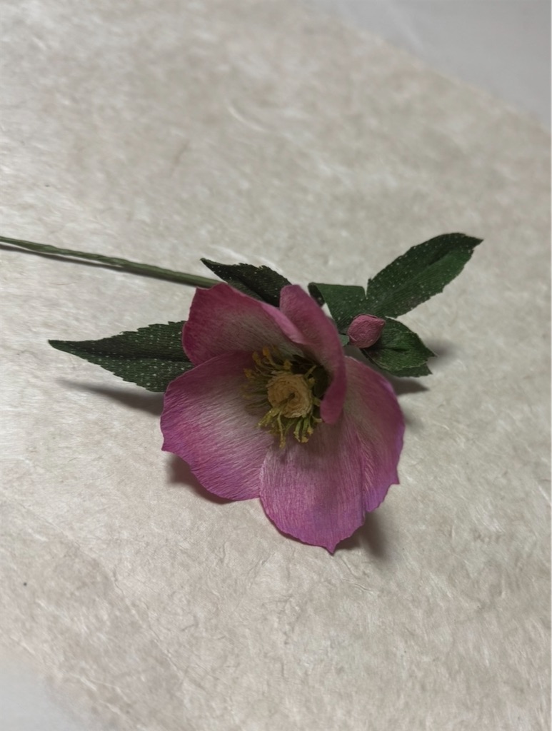 f:id:blossom-art:20250324234131j:image