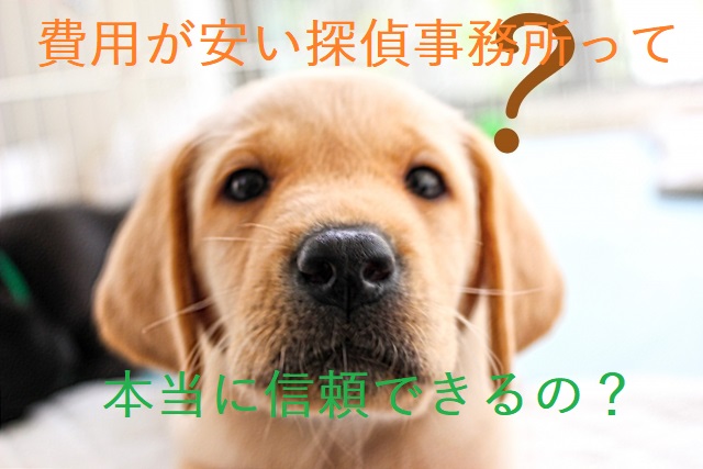 f:id:blubook:20171126105836j:plain