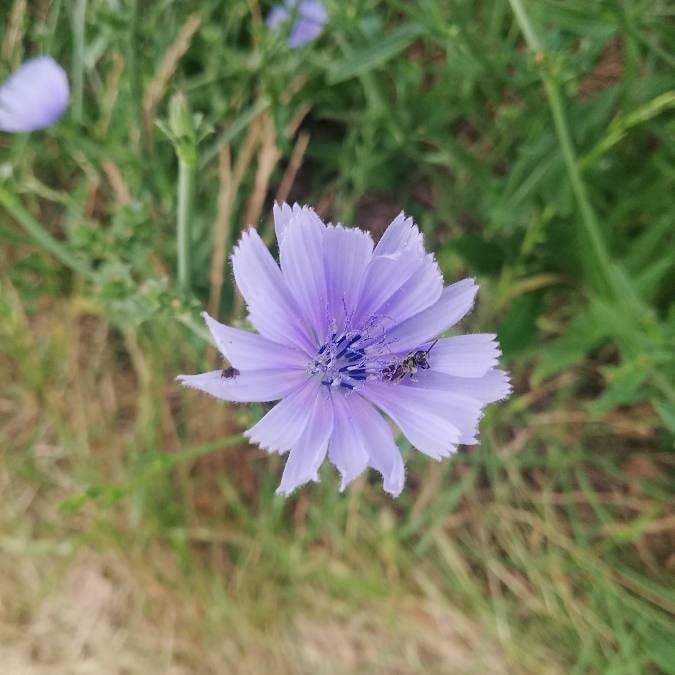 f:id:blue-cactus:20200712230826j:plain
