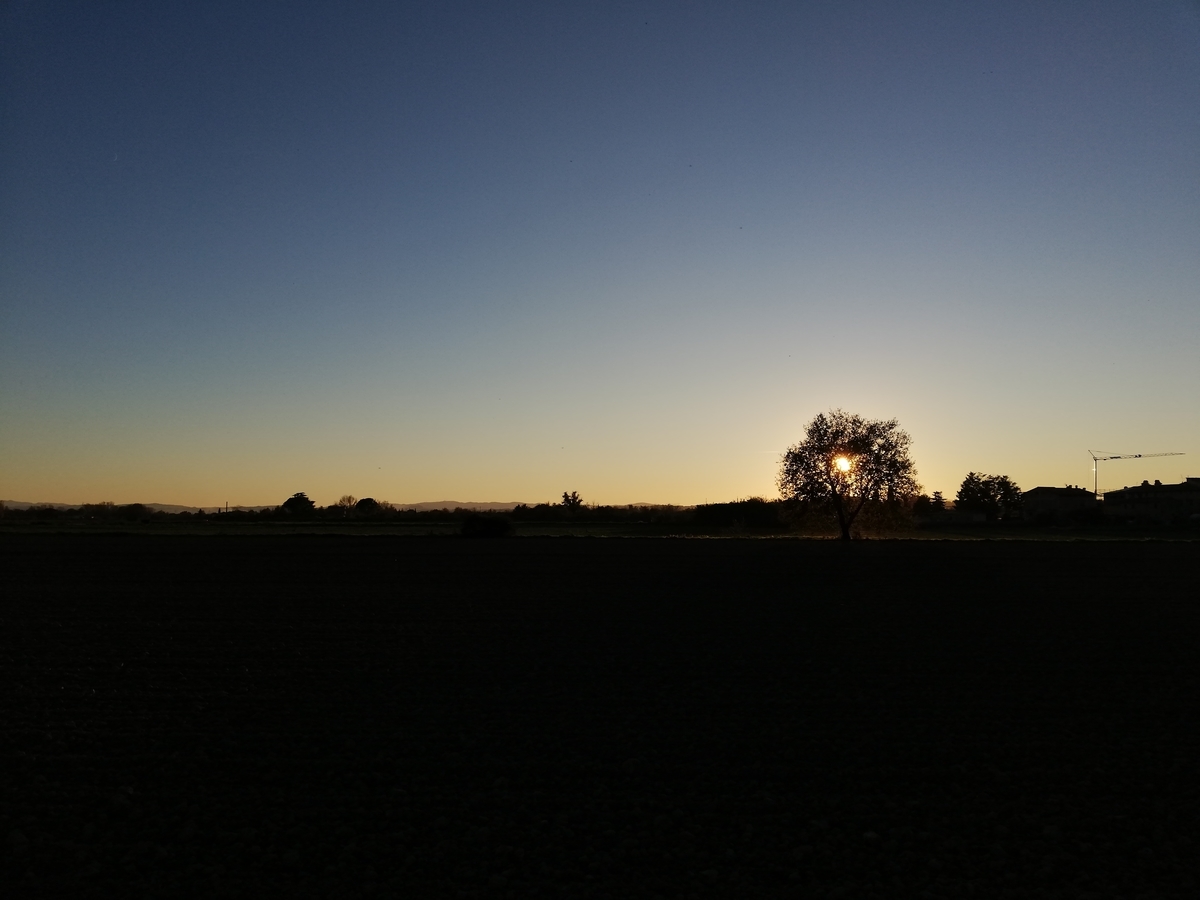 f:id:blue-cactus:20201121032103j:plain