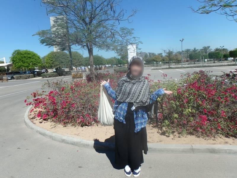 f:id:blue-traveler:20190521001009j:plain f:id:blue-traveler:20190521001009j:plain