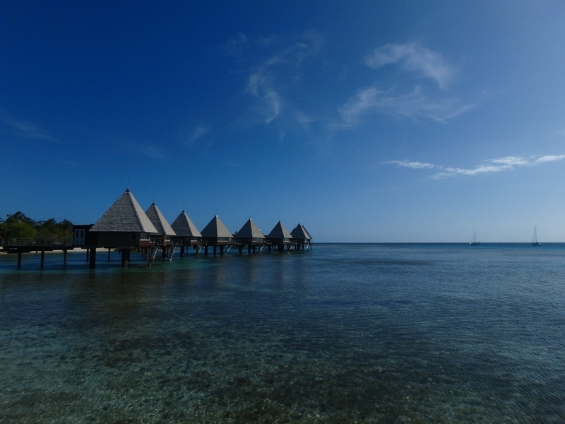 f:id:blue-traveler:20200215204914j:plain f:id:blue-traveler:20200215204914j:plain