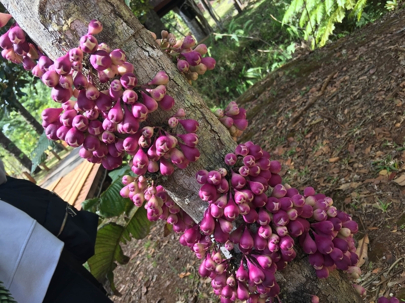 f:id:blue-traveler:20200216151813j:plain f:id:blue-traveler:20200216151813j:plain