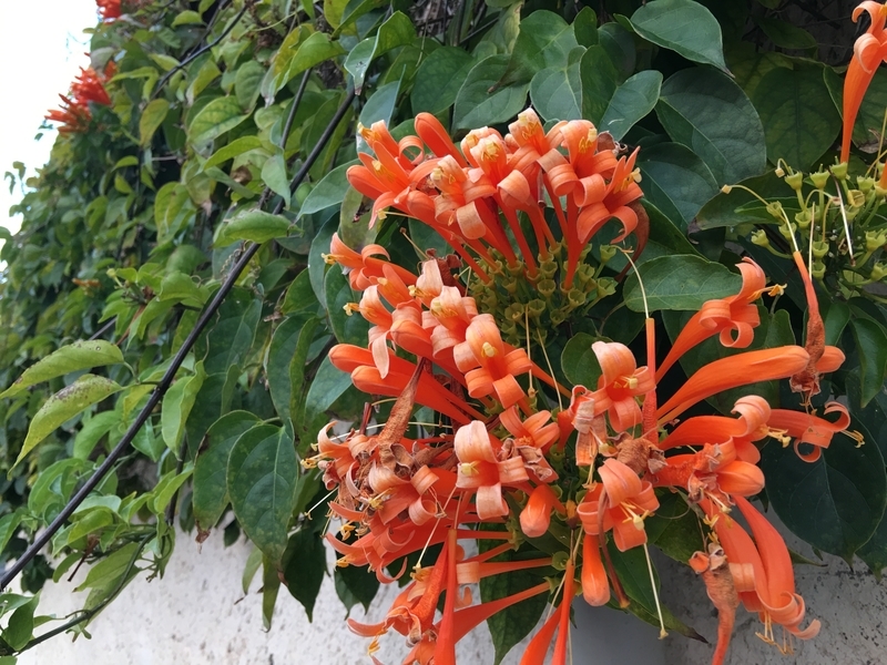 f:id:blue-traveler:20200216202925j:plain f:id:blue-traveler:20200216202925j:plain