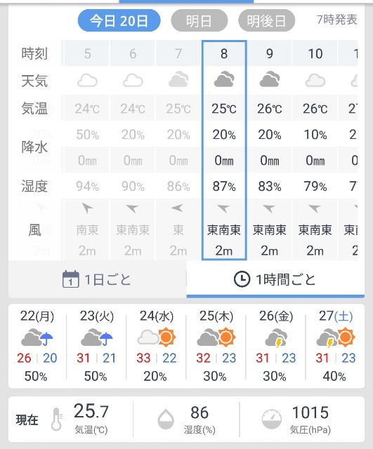 f:id:blue-tree-4:20190720151102j:image f:id:blue-tree-4:20190720151102j:image