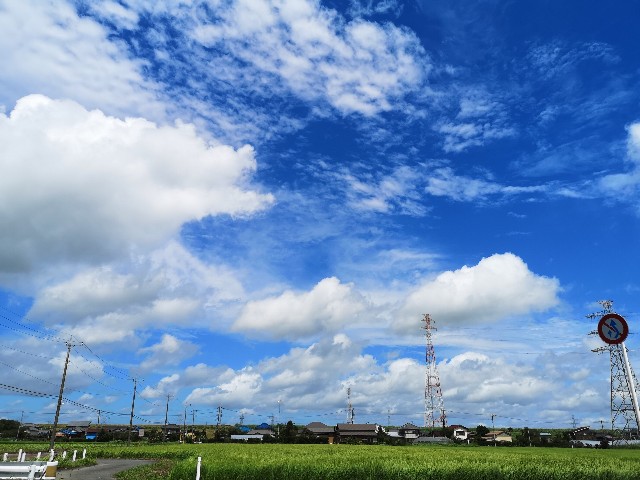 f:id:blue-tree-4:20190727145452j:image
