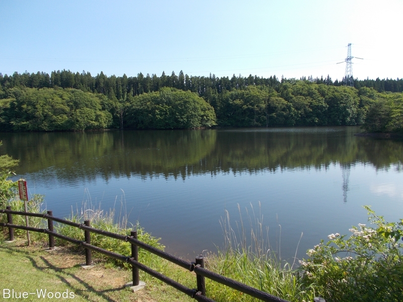 20170627 早掛沼公園②(むつ市田名部)