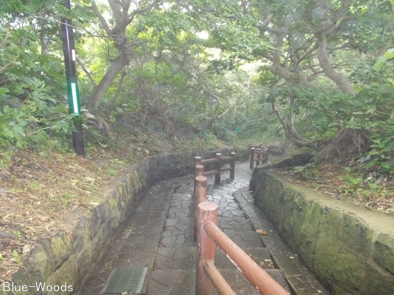 20170701 階段国道②(外ヶ浜町三厩龍浜)