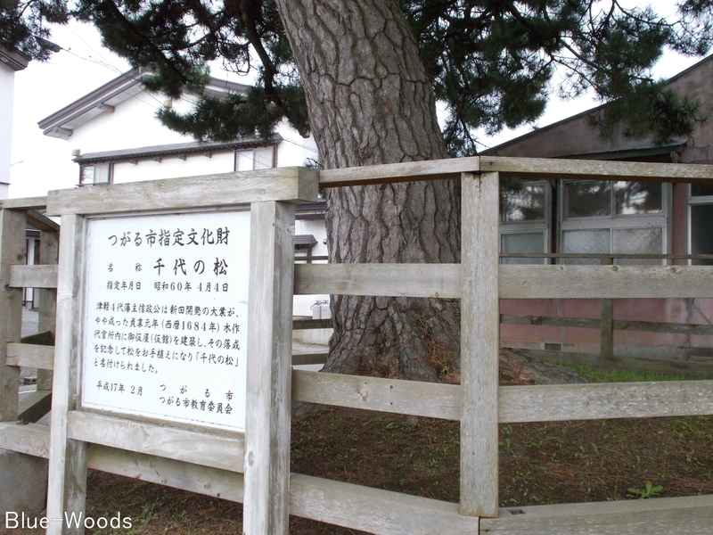 20180929 千代の松(つがる市木造千代町)