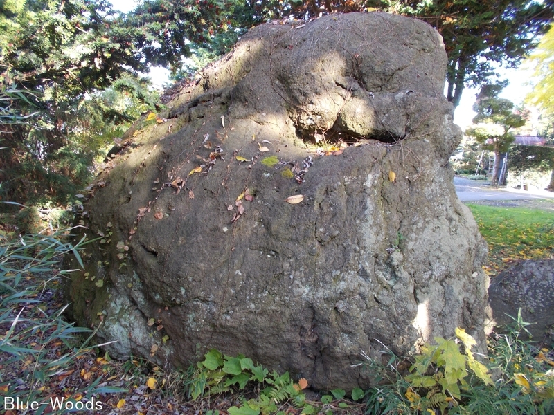 20181107 猿賀公園 猿賀石(平川市猿賀)