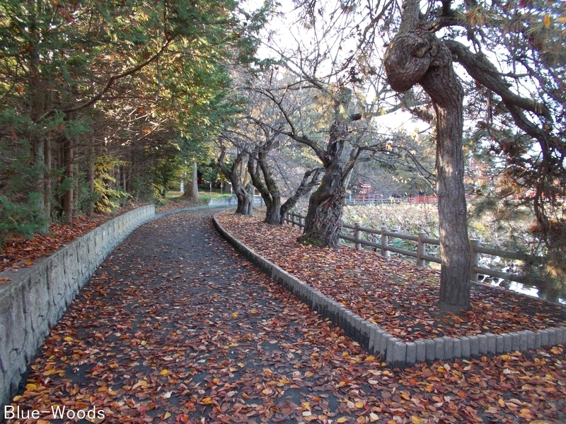 20181107 猿賀公園(平川市猿賀)