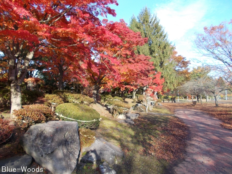 20181107 猿賀公園(平川市猿賀)