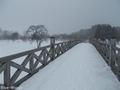 20190107 鶴の舞橋(鶴田町廻堰)