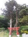 20190606 磯崎神社(五所川原市金木町)