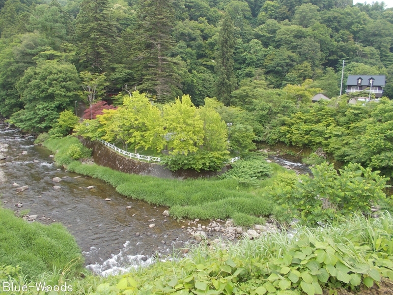 20190629 中野神社(黒石市南中野)