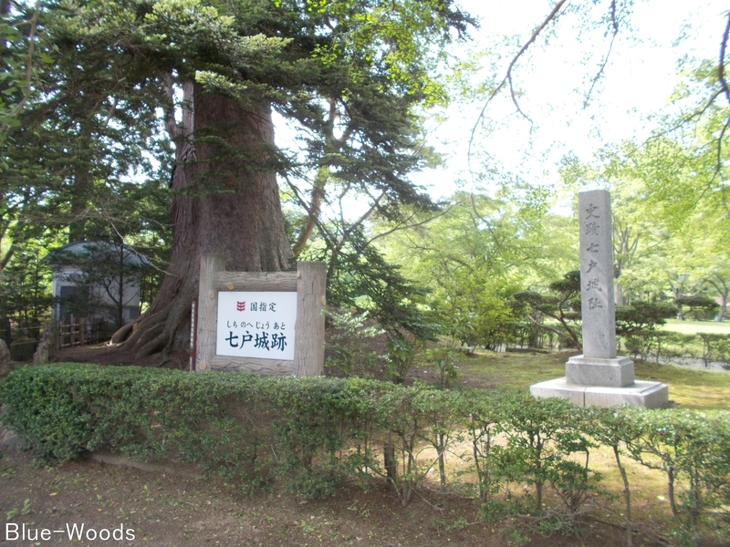 20190710 七戸城(七戸町七戸)