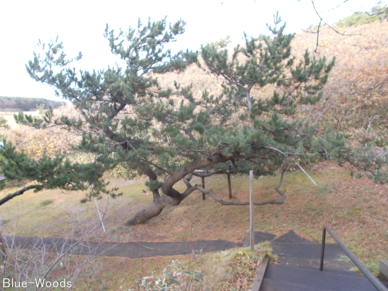 湊明神宮 浜の明神(五所川原市十三湊)