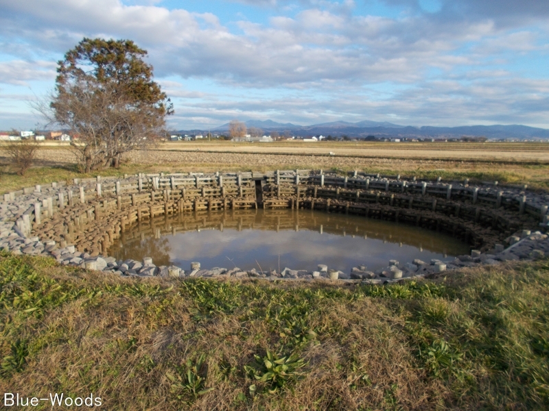 20191127 赤沼(藤崎町福舘)