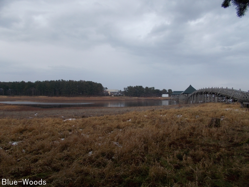 20191211 鶴の舞橋(鶴田町廻堰)