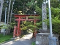 20200514 巌鬼山神社の大杉(弘前市十腰内)