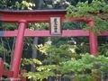 20200514 巌鬼山神社の大杉(弘前市十腰内)