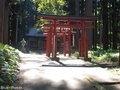 20200514 巌鬼山神社の大杉(弘前市十腰内)