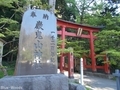 20200514 巌鬼山神社の大杉(弘前市十腰内)