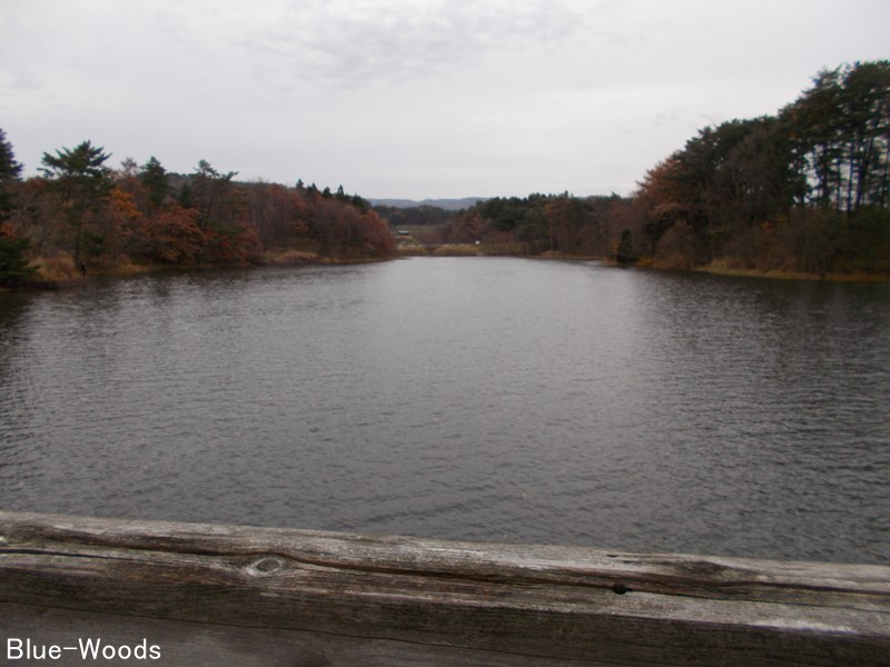 20201120 堺野沢ため池公園