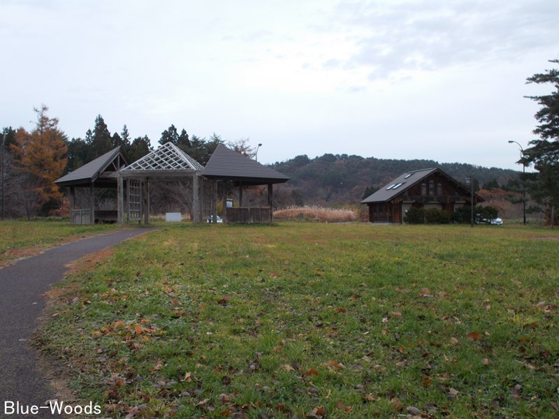 20201120 堺野沢ため池公園