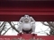 20201120 熊野宮(金木町喜良市)