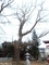 20201120 熊野宮(金木町喜良市)