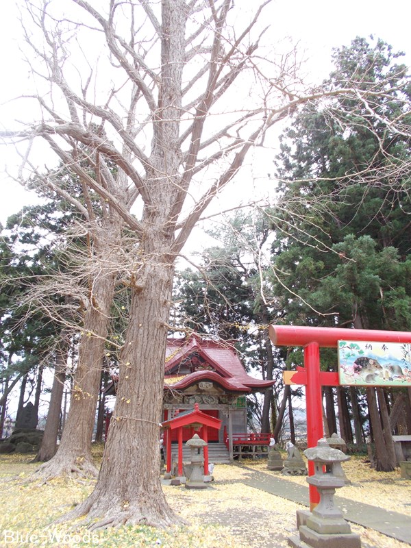 20201120 熊野宮(金木町喜良市)