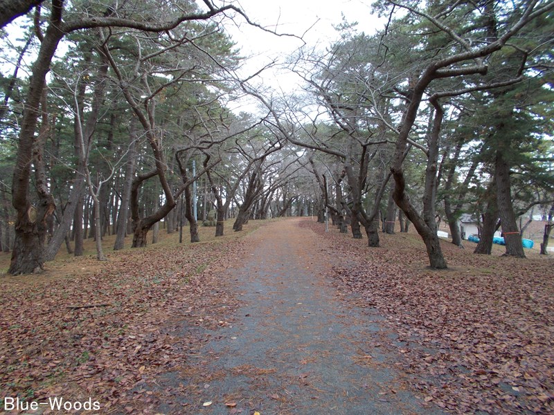 20201120 芦野公園